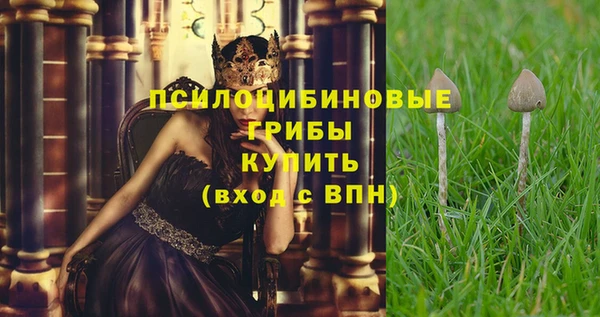 spice Балахна