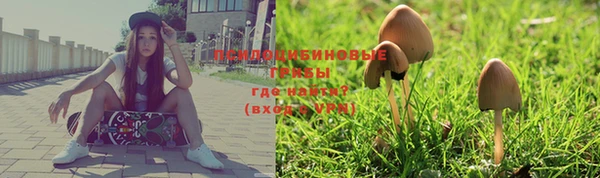 spice Балахна